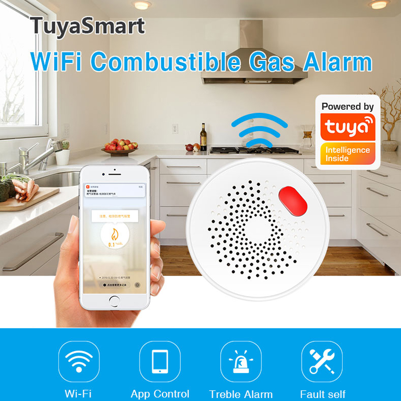 EU/US/UK Tuya Smart Home 2.4G  - Home Security Tools recensie en prijs