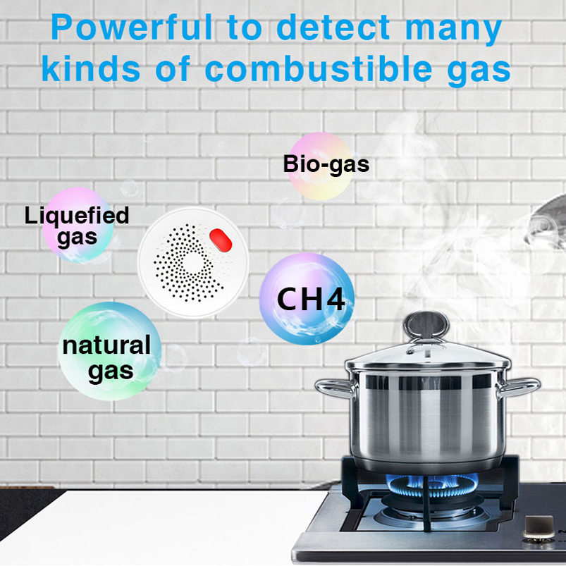 EU/US/UK Tuya Smart Home 2.4G  - Home Security Tools recensie en prijs