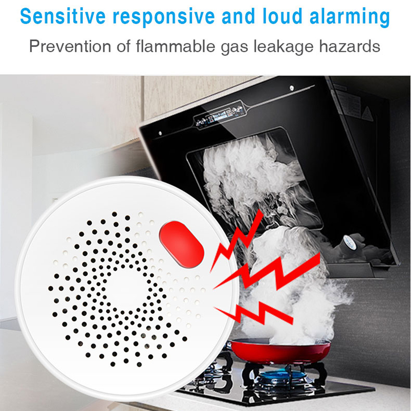 EU/US/UK Tuya Smart Home 2.4G  - Home Security Tools recensie en prijs