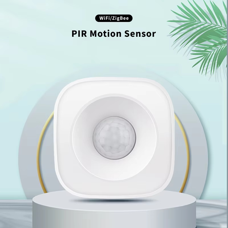 Tuya ZigBee/WiFi PIR Bewegings - Home Security Tools recensie en prijs
