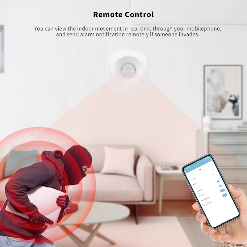 Tuya ZigBee/WiFi PIR Bewegings - Home Security Tools recensie en prijs