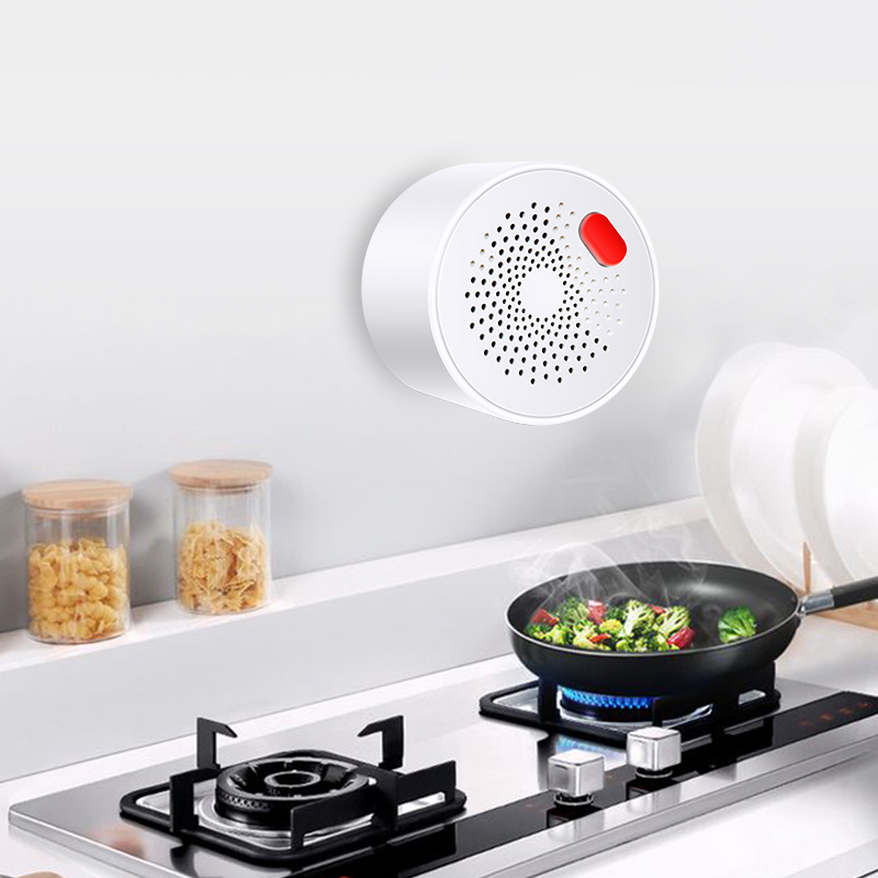 Tuya Smart Home Wifi Aardgas S - Home Security Tools recensie en prijs