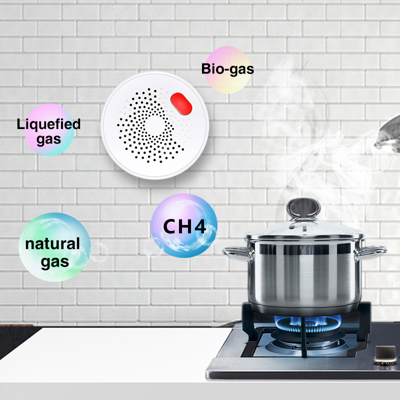 Tuya Smart Home Wifi Aardgas S - Home Security Tools recensie en prijs