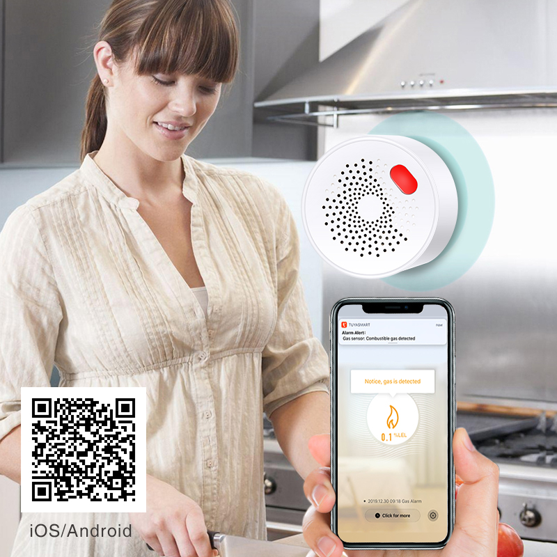 Tuya Smart Home Wifi Aardgas S - Home Security Tools recensie en prijs